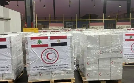 وزير الطيران المدني: عودة 304 مصريين من بيروت على متن طائرة لمصر للطيران