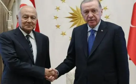 اتفاق عربي تركي على ضرورة الضغط على الغرب لوقف تصدير السلاح لإسرائيل