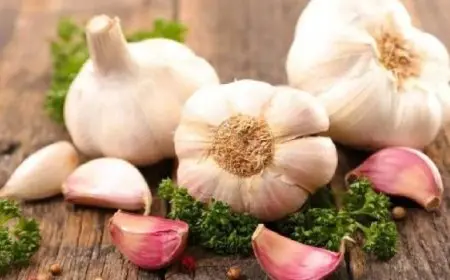 الإفراط في تناول الثوم يسبب اضطراب فى الجهاز الهضمى والدوخة