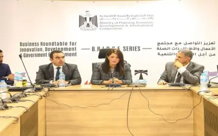 وزيرة التخطيط تستعرض الفُرص التمويلية والاستثمارية المتاحة من مؤسسات التمويل البريطانية لشركات القطاع الخاص