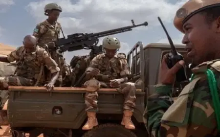 الجيش الصومالي: مقتل أكثر من 30 من مليشيات “الشباب” الإرهابية في عملية عسكرية وسط البلاد