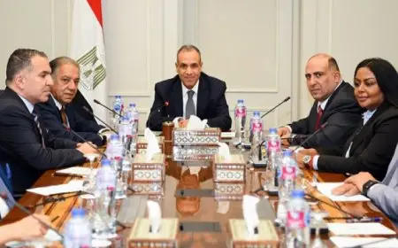 وزير الخارجية يبحث مع أعضاء لجنة الشئون الأفريقية بمجلس النواب تعزيز العلاقات مع دول أفريقيا