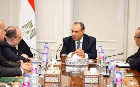 وزير الخارجية يؤكد على ثوابت الموقف المصري من الأزمة في السودان