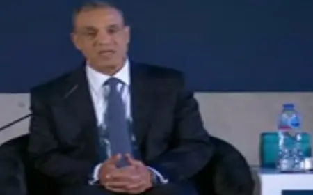 وزير الخارجية: الدبلوماسية أداة فعالة للتعامل مع التحديات المعقدة التي يواجهها العالم