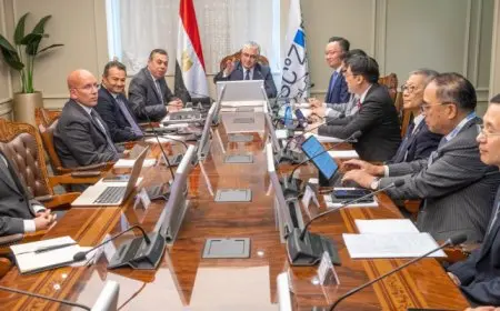 بال .. رئيس اقتصادية قناة السويس: مستعدون للتعاون مع مجتمع الأعمال في هونج كونج بمجال إنتاج الطاقة الخضراء