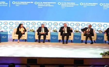 وزير البترول: مصر تلعب دورًا حيويًا في الطلب العالمي على الطاقة