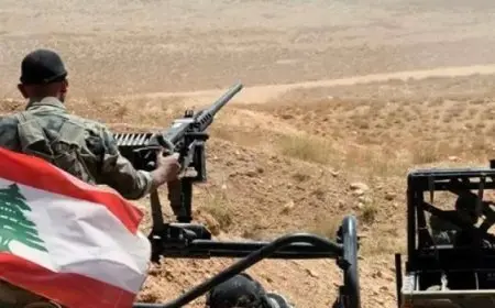 إستشهاد 3 من الجيش اللبناني جراء استهداف إسرائيلي في الجنوب