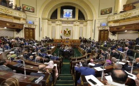 مجلس النواب يوافق مبدئيا على مشروع قانون المجلس الوطني للتعليم والابتكار