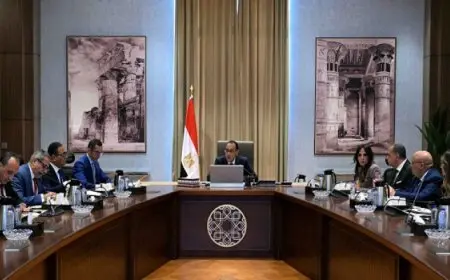 رئيس الوزراء يستكمل مناقشات مشروع القانون المقترح لمناطق المال والأعمال