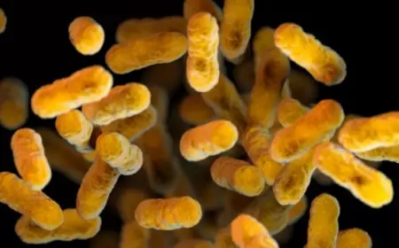 وباء السعال الديكي يجتاح أمريكا وأوروبا