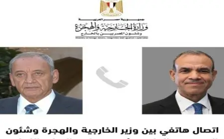وزير الخارجية يؤكد هاتفيا مع بري دعم مصر الكامل للبنان ويدين انتهاكات إسرائيل للسيادة اللبنانية