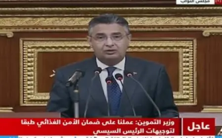 بدء الجلسة العامة لمجلس النواب للاستماع إلي بيان وزير التموين