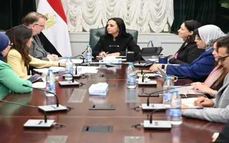 وزيرة التضامن تلتقي مدير مكتب منظمة العمل الدولية ويبحثان عدداً من الملفات المشتركة