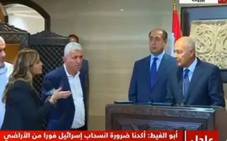 أبو الغيط يؤكد من بيروت ضرورة التوصل الفوري الى وقف اطلاق النار في لبنان