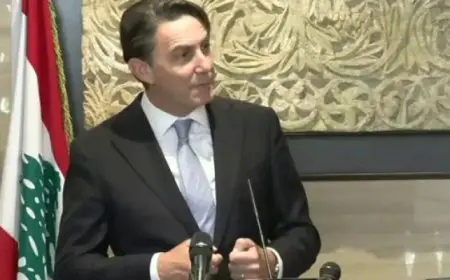 المبعوث الأمريكي يؤكد ضرورة تفعيل دور الجيش اللبناني وتنفيذ القرار /1701/