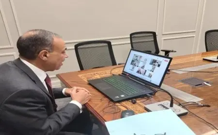 وزير الخارجية والهجرة يؤكد إيلاء الدولة المواطنين المصريين في الخارج الرعاية الكاملة