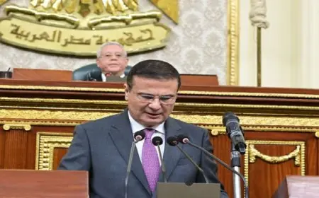 وزير الزراعة أمام “النواب”: نفذنا عدة برامج ضمن برنامج الحكومة لتعزيز الأمن الغذائي وتحقيق التنمية المستدامة