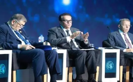 عبد الغفار : تحديد الأولويات يساهم في تحقيق أهداف الاستراتيجية الوطنية للصحة