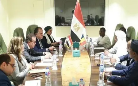 وزير الصحة يؤكد الاستعداد لإرسال فرق طبية متخصصة ونقل الخبرات إلى تشاد