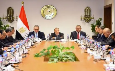 وزير الخارجية والهجرة يلتقي مع سفراء الدول الآسيوية المُعتمدين بمصر