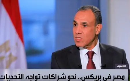 وزير الخارجية: نعول على تجمع “البريكس” ليكون صوتًا مسموعًا للجنوب والدول النامية