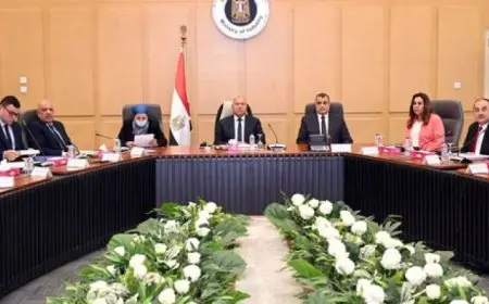 كامل الوزير يترأس الاجتماع الثامن للمجموعة الوزارية للتنمية الصناعية