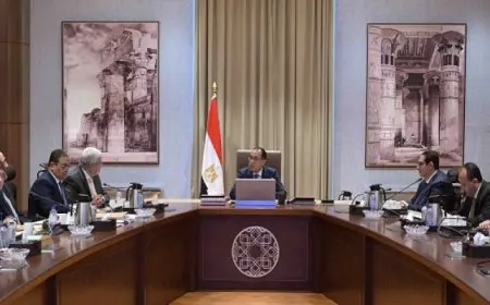 رئيس الوزراء يستعرض الموقف التنفيذي لإنشاء المعهد القومي للأورام الجديد “مستشفى 500500”