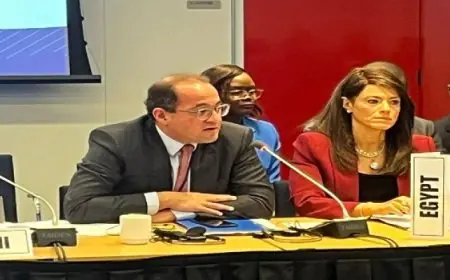 وزير المالية:٣ أولويات لتعزيز البنية المالية الإفريقية في مواجهة التحديات العالمية