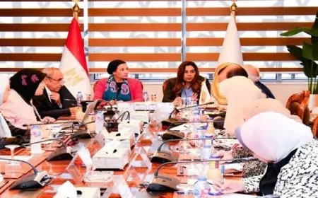 وزيرتا التنمية المحلية والبيئة تناقشان الموقف التنفيذي وآخر المستجدات الخاصة بالمبادرة الرئاسية 100 مليون شجرة