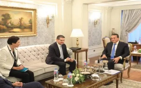 بال .. تعاون مصري قبرصي لتعزيز الشراكات الصحية وتبادل الخبرات