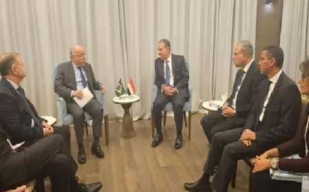 وزير الخارجية والهجرة يلتقى بنظيره البرازيلي على هامش قمة تجمع البريكس المنعقدة في مدينة قازان الروسية