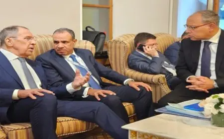 وزير الخارجية يلتقي مع نظيره الروسي على هامش قمة مجموعة بريكس