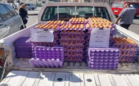 الزراعة تعلن حصيلة جلسة المزاد العلني لبيع وايجار مساحات تابعة للإصلاح الزراعي في ٦ محافظات