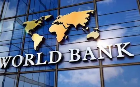 البنك الدولي يضاعف استثماراته الزراعية لمواجهة التحديات المستقبلية