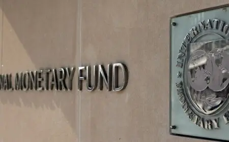 صندوق النقد: مصر تتجه نحو استقرار مالي ملحوظ بحلول 2029