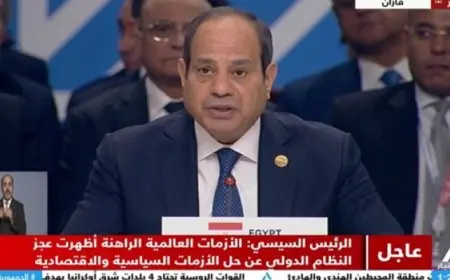 السيسي يؤكد حرص مصر على تعزيز التعاون بين دول بريكس بما يسهم في زيادة النمو الاقتصادي العالمي