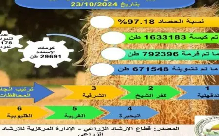 الزراعة:انتاج اكثر من 29 ألف طن من الأسمدة العضوية نتاج إعادة تدوير قش الأرز