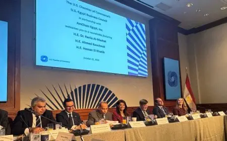 المشاط تعقد لقاءً موسعًا مع غرفة التجارة الأمريكية بحضور نُخبة من المستثمرين والشركات بمختلف القطاعات