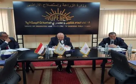 ” اتحاد منتجى ومصدري الحاصلات البستانية” يدشن اول مجلس نوعي للزيتون – مصر الأولى في الإنتاج