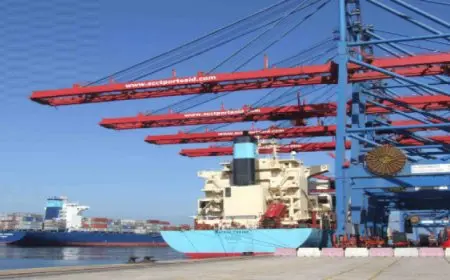 الجريدة الرسمية تنشر قرار الحكومة بإنشاء منطقة حرة خاصة باسم شركة “غرس” لمركزات الموالح ببورسعيد