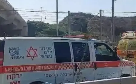 5 قتلى وعشرات الجرحى من الجنود بحادثة دهس بشمال تل أبيب