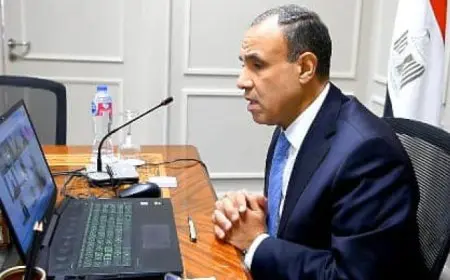 وزير الخارجية يعقد لقاء افتراضياً مع ممثلي الجالية المصرية في قطر