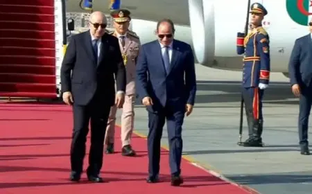 بال وال .. الرئيس السيسي يستقبل نظيره الجزائري بمطار القاهرة الدولي