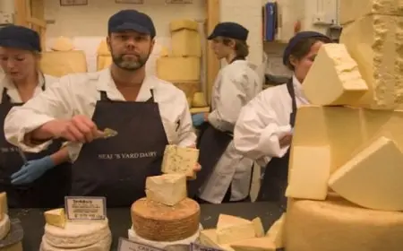 قيمتها 389 ألف دولار..محتالون يسرقون أطنانا من جبنة “الشيدر”