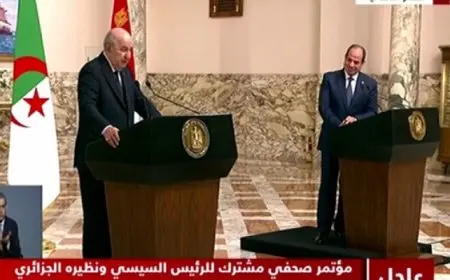 الرئيس السيسي: فرص التعاون مع الجزائر كبيرة في الاستثمار والمشروعات المشتركة