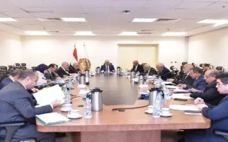 صندوق الطوارىء: 2.2 مليار جنيه دعمًا لـ 424 ألف عامل بـ 3986 منشأة