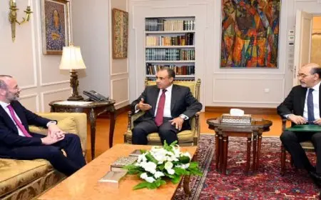 بال ..وزير الخارجية يشيد بالنسق التصاعدي الذى تشهده العلاقات بين مصر والاتحاد الأوروبي