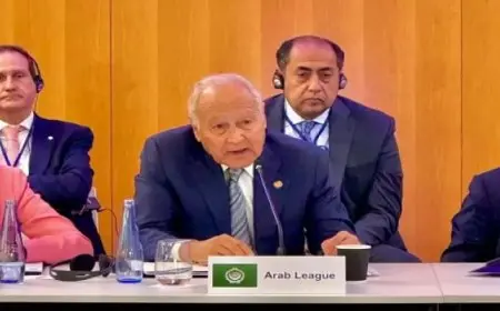 : أبو الغيط: صمت المجتمع الدولي أمام الاحتلال الإسرائيلي يعتبر اشتراكا في الجريمة