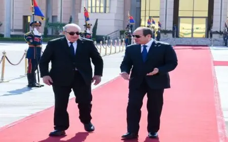 الرئيس السيسي يودع نظيره الرئيس الجزائري في مطار القاهرة الدولي