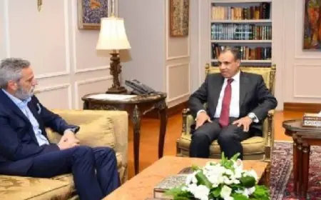 وزير الخارجية يؤكد إدانة مصر للإجراءات الإسرائيلية في شمال غزة وعراقيل دخول المساعدات